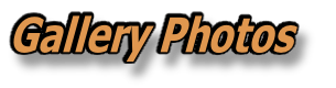 Gallery Photos